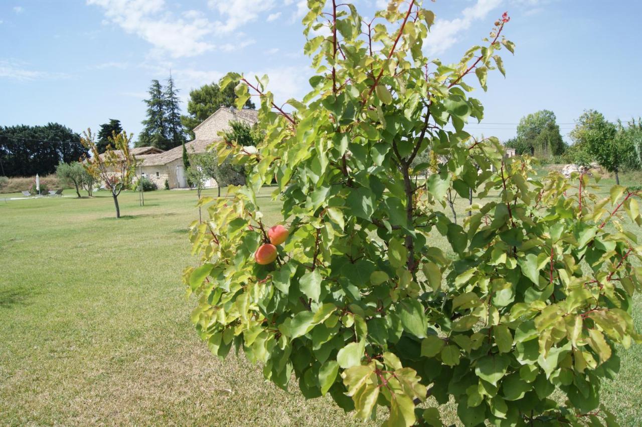 B&B Dans Mas En Pierres Robion en Luberon Екстериор снимка