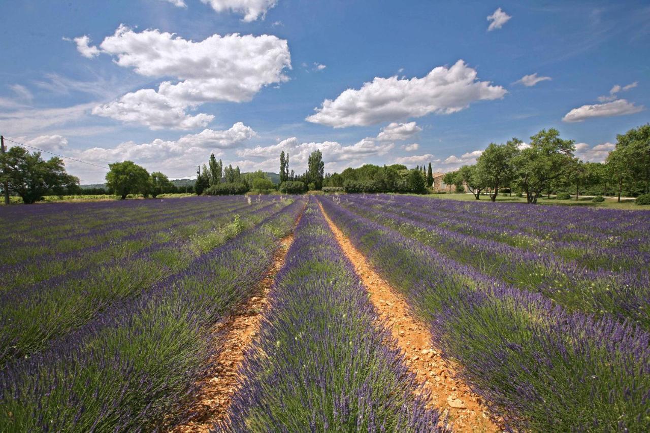 B&B Dans Mas En Pierres Robion en Luberon Екстериор снимка